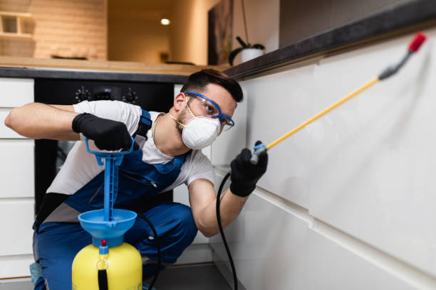 Best Pest Inspection Near Me  in Fowler, CA