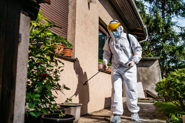 Best Rodent Control Near Me  in Fowler, CA