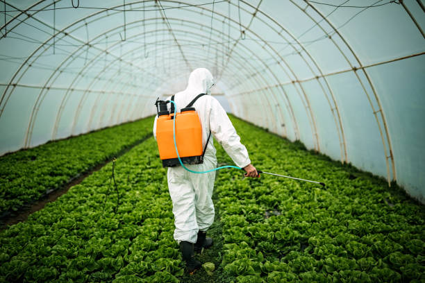 Best Pest Control Near Me in Fowler, CA