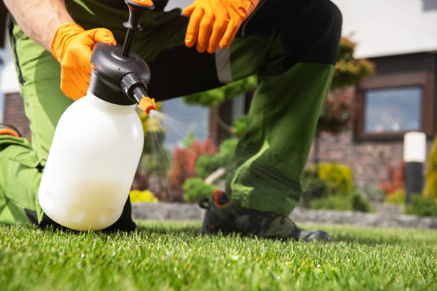 Best Mosquito Control Services  in Fowler, CA