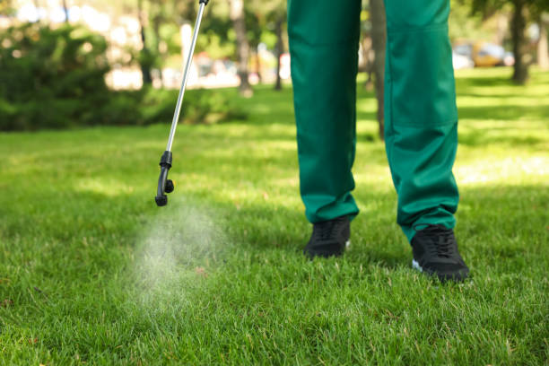 Pest Control for Restaurants in Fowler, CA