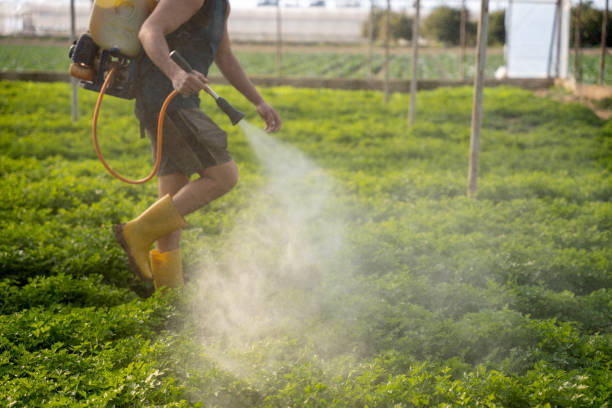 Trusted Fowler, CA Pest Control Experts