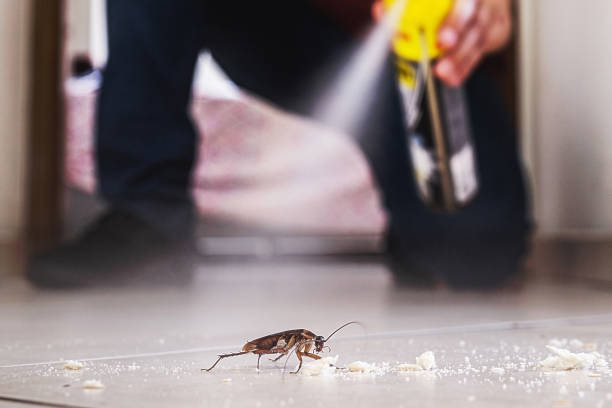 Best Best Pest Control Companies  in Fowler, CA
