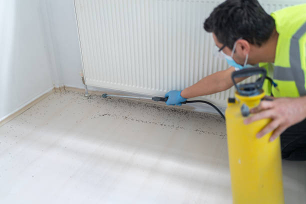 Best Wasp Removal Services  in Fowler, CA